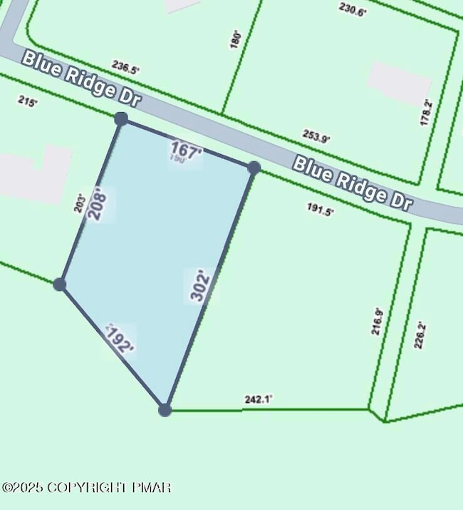 Image 11-5-25 at 4.24PM (1)