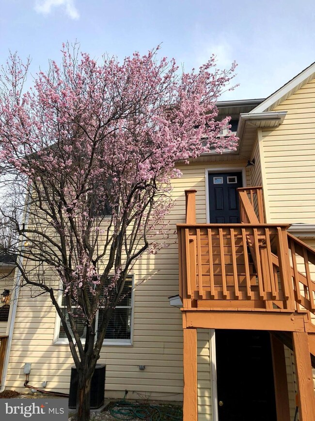 307 Frederick Rd, Baltimore, MD 21228 - photo 2