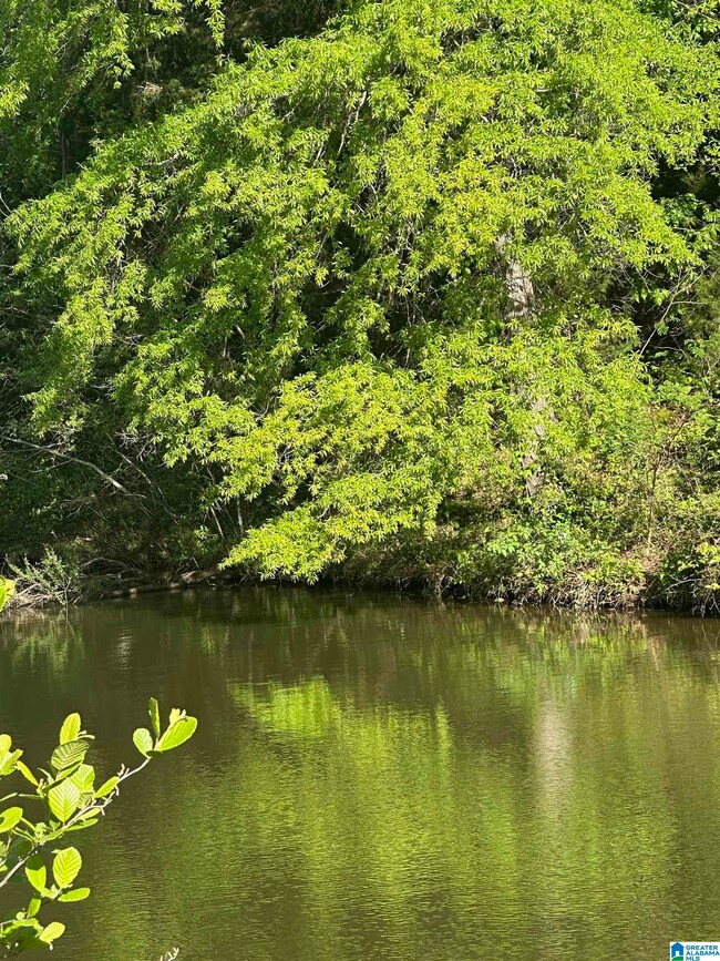 0 Vick Ln unit 21416150, Sylacauga, AL 35151 - photo 3