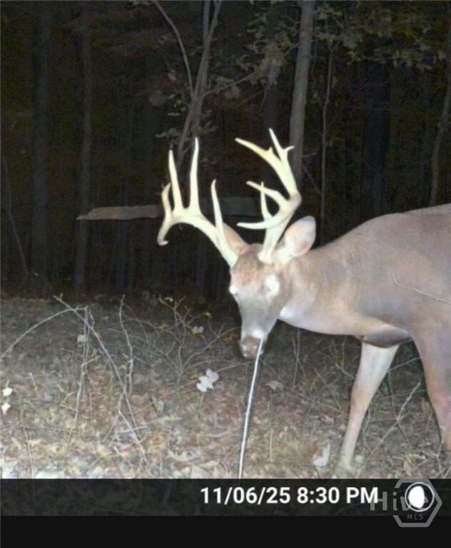 0 Georgia 72 unit CL344632, Comer, GA 30629 - photo 2