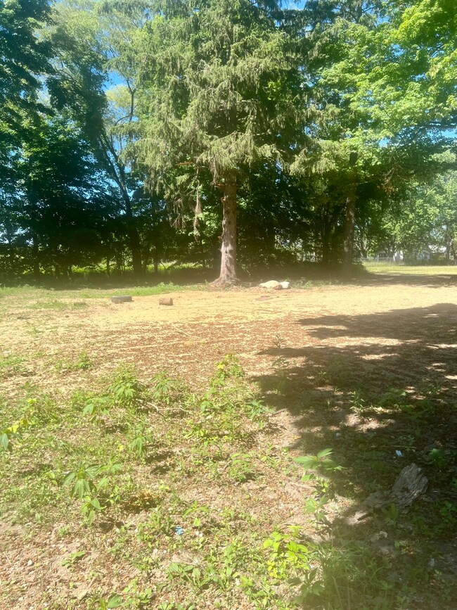 6576 Us Highway 31, Berrien Springs, MI 49103 - photo 4