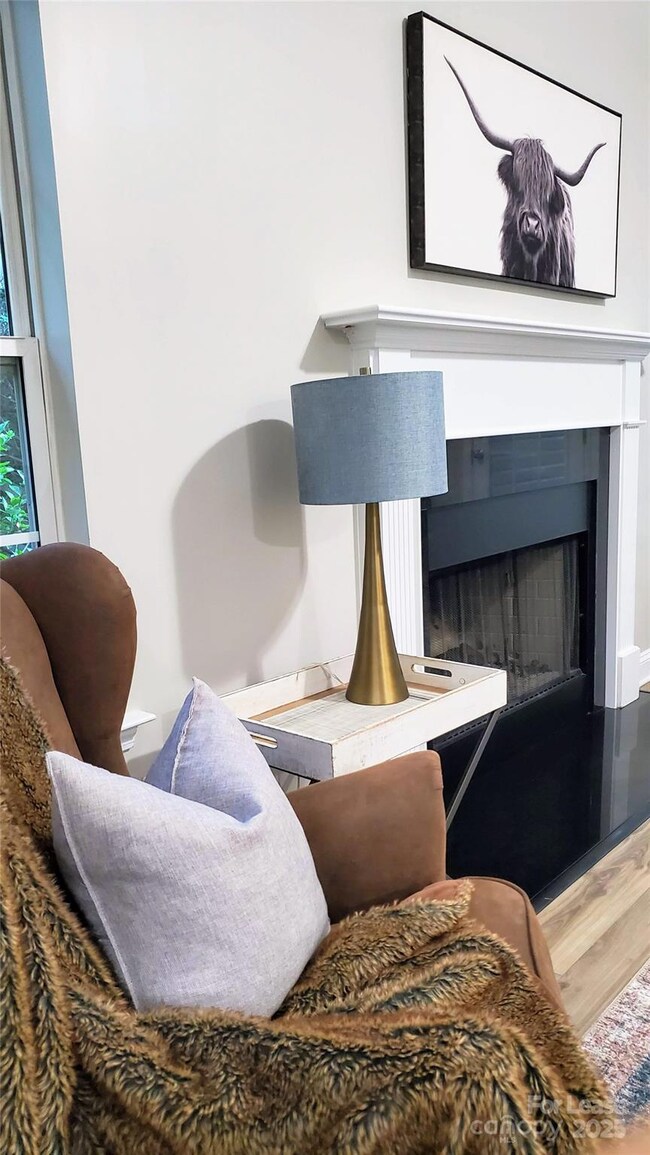 11925 Field St, Cornelius, NC 28031 - photo 3