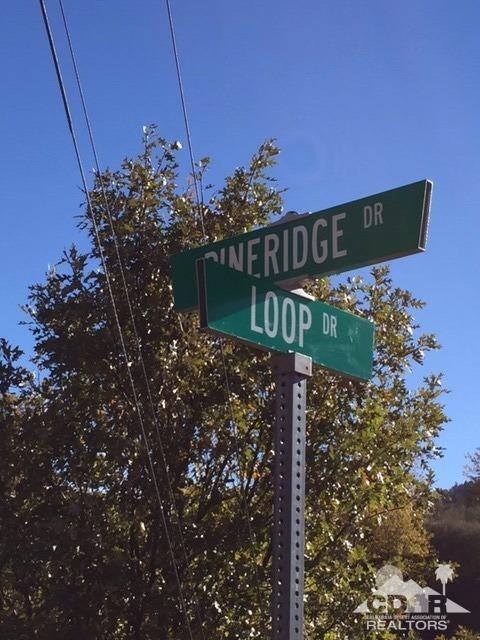 0 Fir Ln unit 216034928, Lake Arrowhead, CA 92321 - photo 6