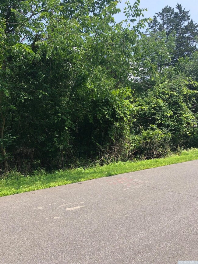 37 - SS Sleepy Hollow Rd, Coxsackie, NY 12051 - photo 3