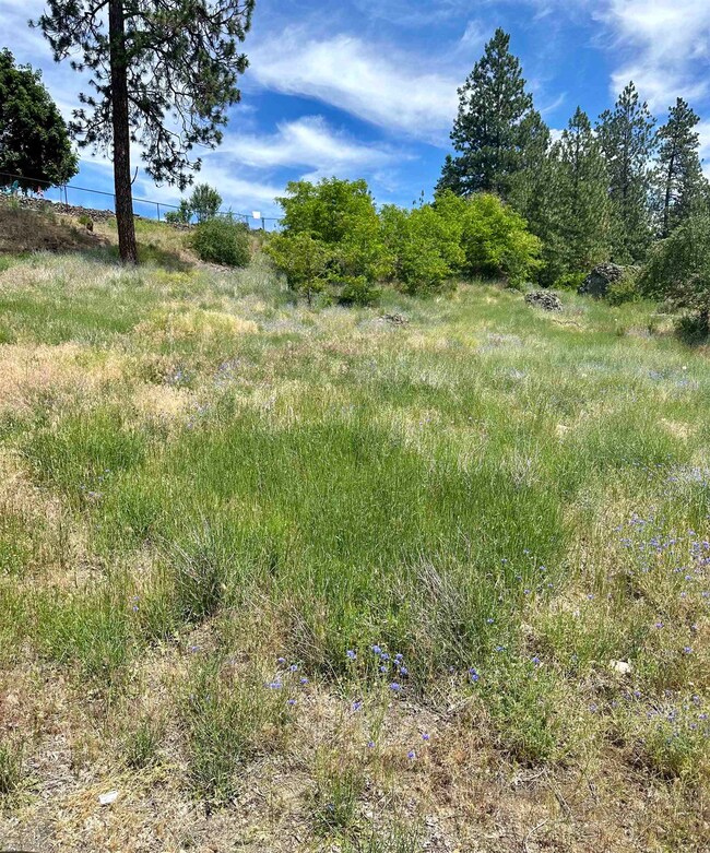 3028 N Belt St, Spokane, WA 99205 - photo 6