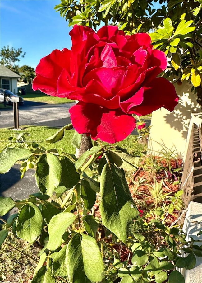 11117 SW 122nd Ct, Miami, FL 33186 - photo 4