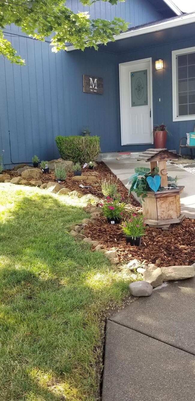 Additional Photo