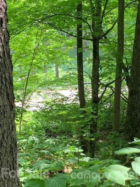 Lot 61 Mountain Air Dr, Price Creek, NC 28714 - photo 6