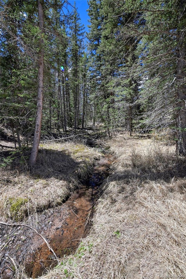 112 Blue Jay Ln, Florissant, CO 80816 - photo 7