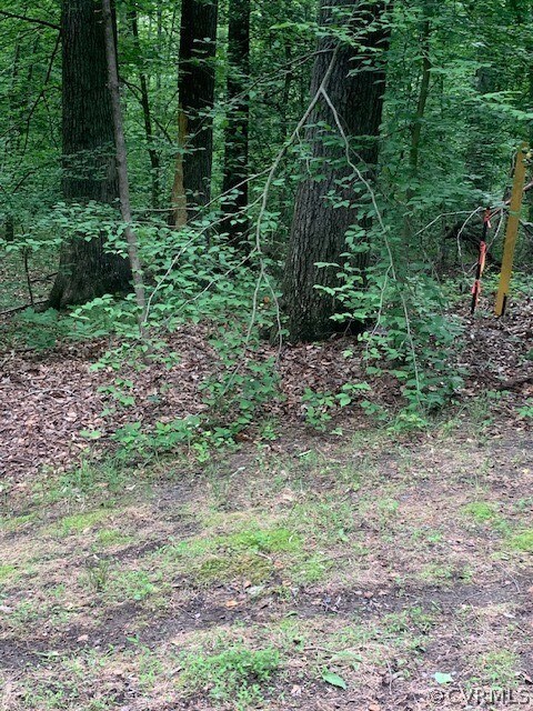 lot 59