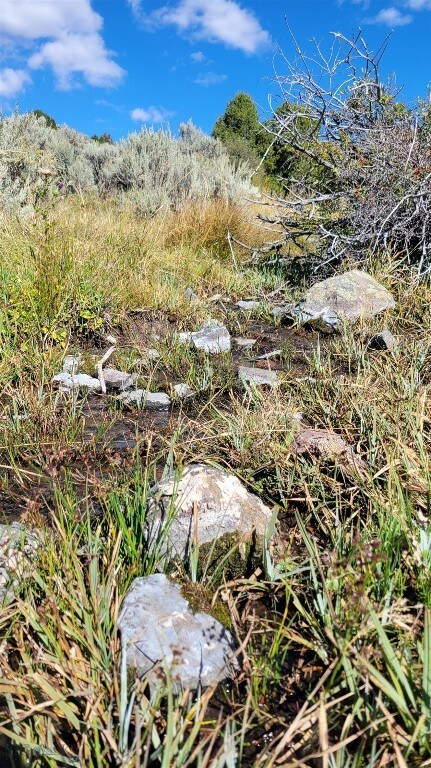 166.96 acres Sofindigo Trail, Virginia City, MT 59729 - photo 5