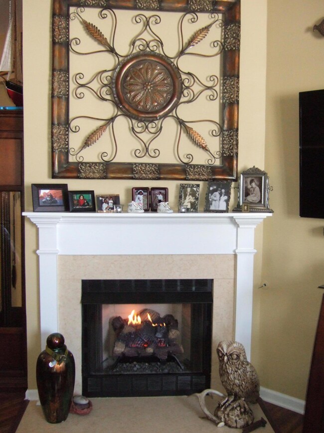 Custom Fireplace