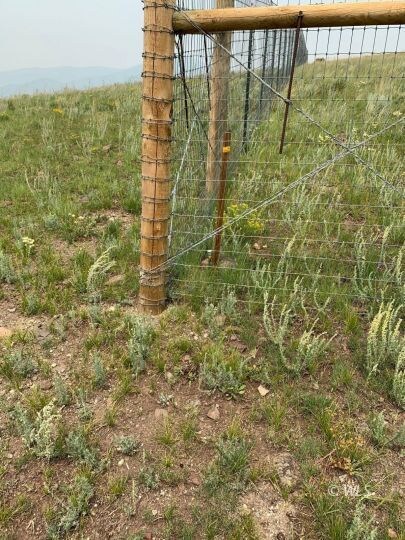 5 Ft Fencing