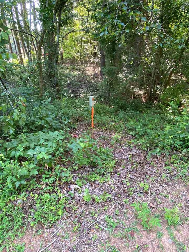 6675 Briarwood Dr, Oxford, NC 27565 - photo 6