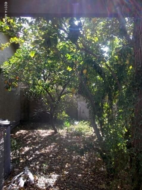 1944 E Citation Ln, Tempe, AZ 85284 - photo 3