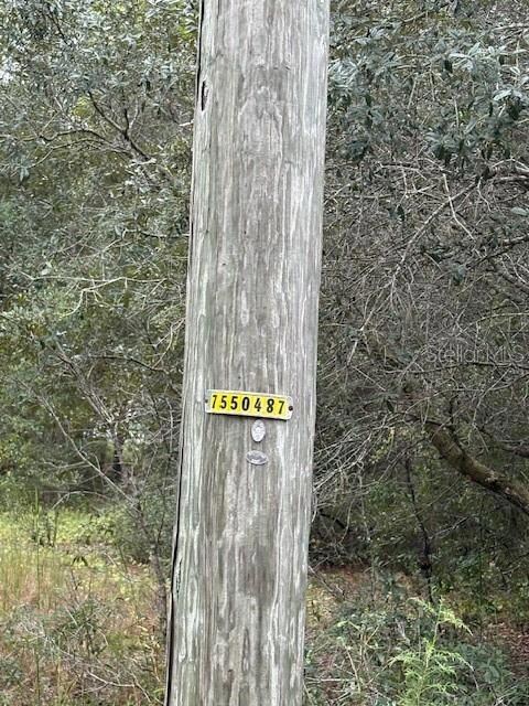 unlisted-address, Ocklawaha, FL 32179 - photo 5