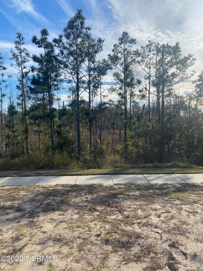 Lot 111