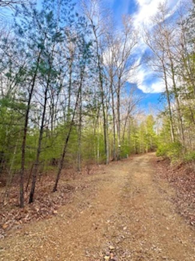 0 Maegans Dr unit LotWP001 23098892, Murphy, NC 28906 - photo 6