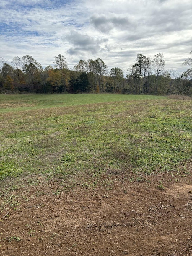 Pine Grove Ch Spur Rd, Vanceburg, KY 41179 - photo 2