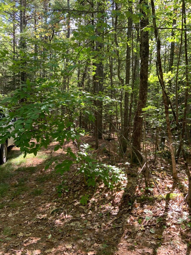 0 Clarks Bridge Rd unit 1469372, Waterboro, ME 04061 - photo 3