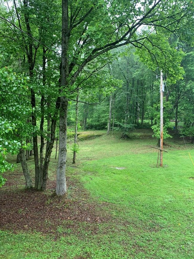 BACK YARD