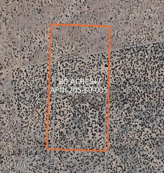 205 County Rd N7291 --, Saint Johns, AZ 85936 - photo 3