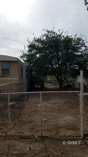 North Side yard