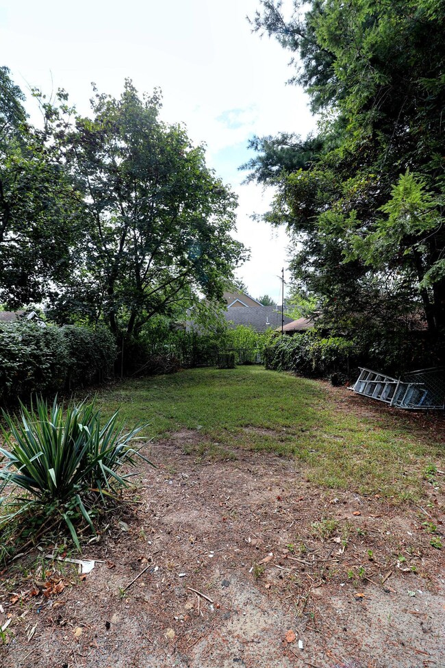 backyard2