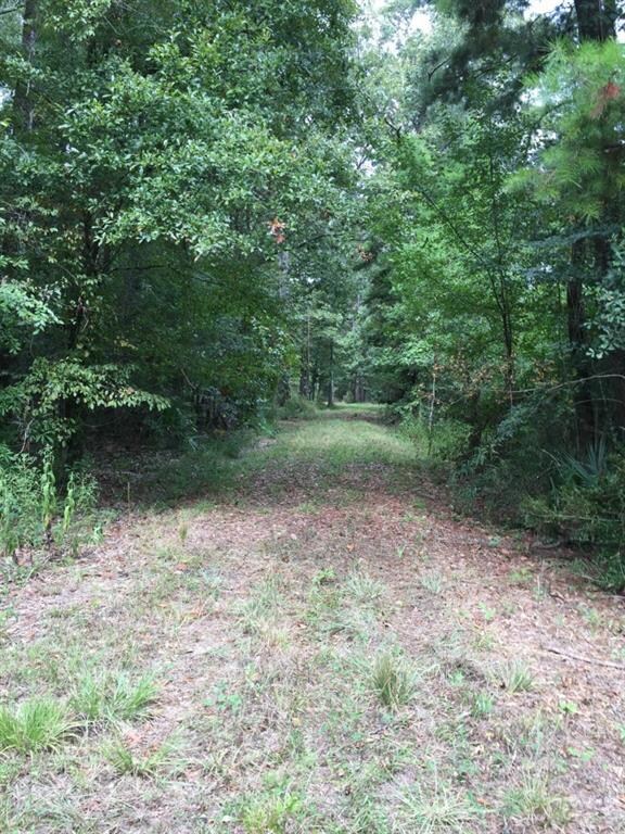 32307, 32267 & 32227 Lower Rome Rd, Springfield, LA 70462 - photo 2