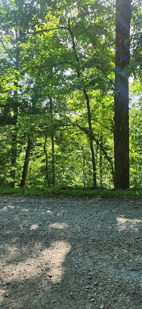 0 Mohawk Trail unit 406863, Ellijay, GA 30540 - photo 2