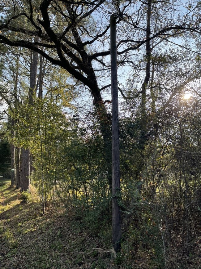 26803 Apache Trail, Magnolia, TX 77354 - photo 5