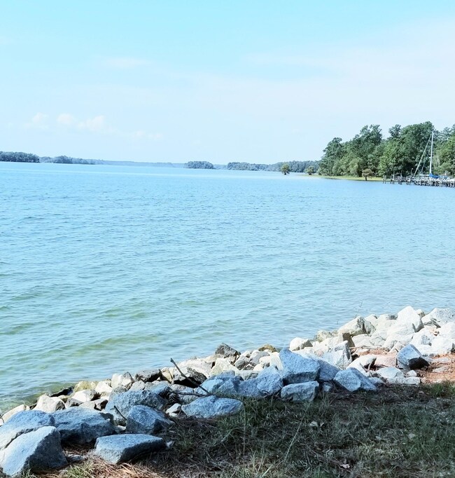 Lake View 2