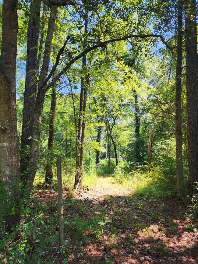 13465 Cedar Springs Rd, Blakely, GA 39823 - photo 2