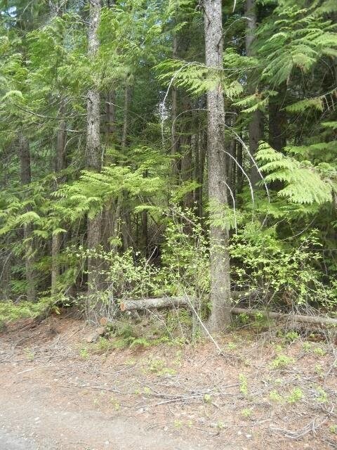 1895 Blue Creek Rd W, Chewelah, WA 99109 - photo 5