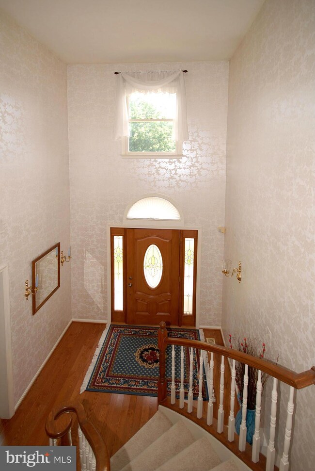 13613 Clary Sage Dr, Chantilly, VA 20151 - photo 3