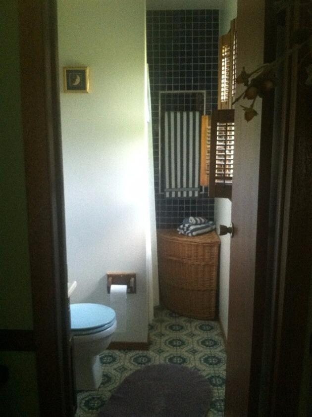 13128 W 118th Place, Cedar Lake, IN 46303 - photo 4