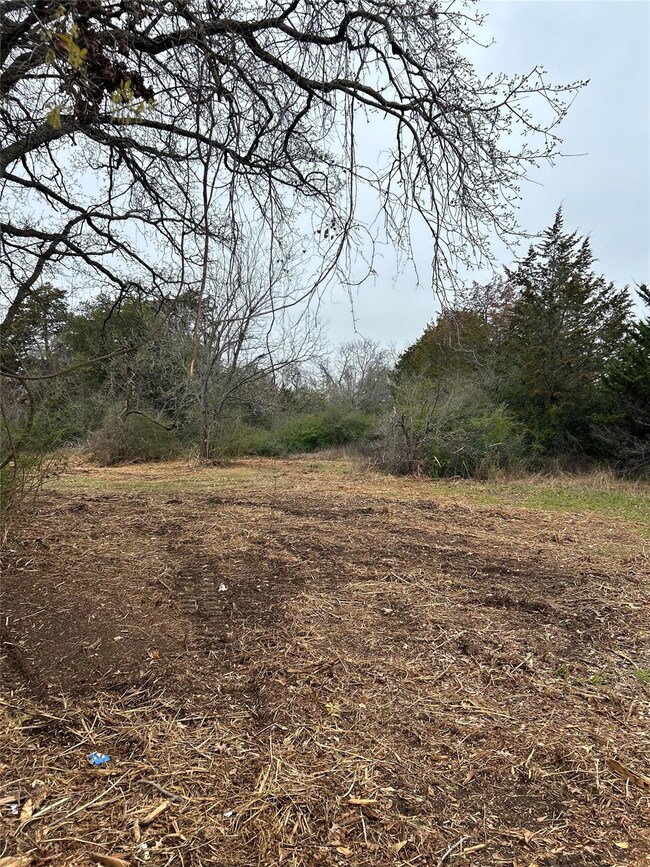 Lot 4-R East Ln, Corsicana, TX 75110 - photo 6