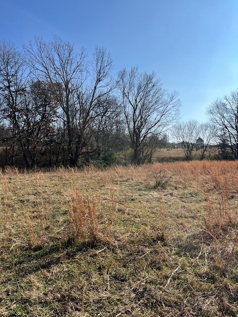 0 W County Line Rd unit 1329714, Springdale, AR 72762 - photo 6