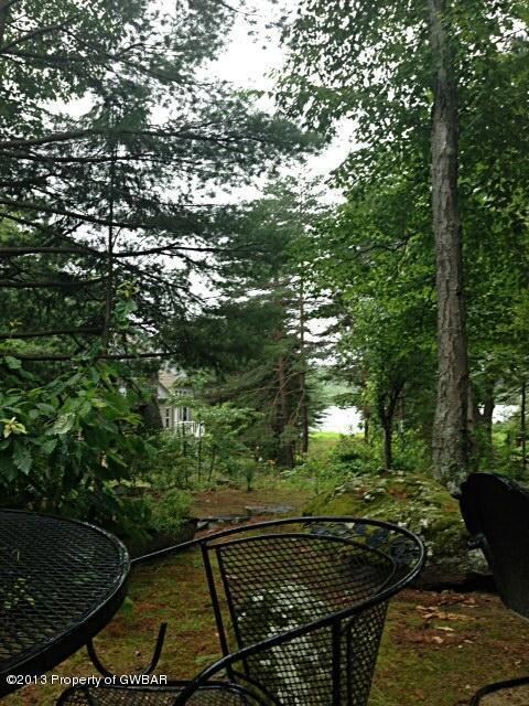 View From Patio