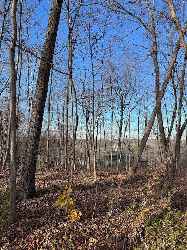 71 Hilltop Dr, Branford, CT 06405 - photo 3