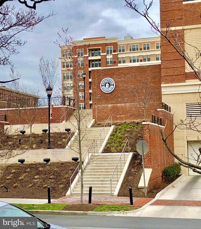 3832 Elm Ave, Baltimore, MD 21211 - photo 2