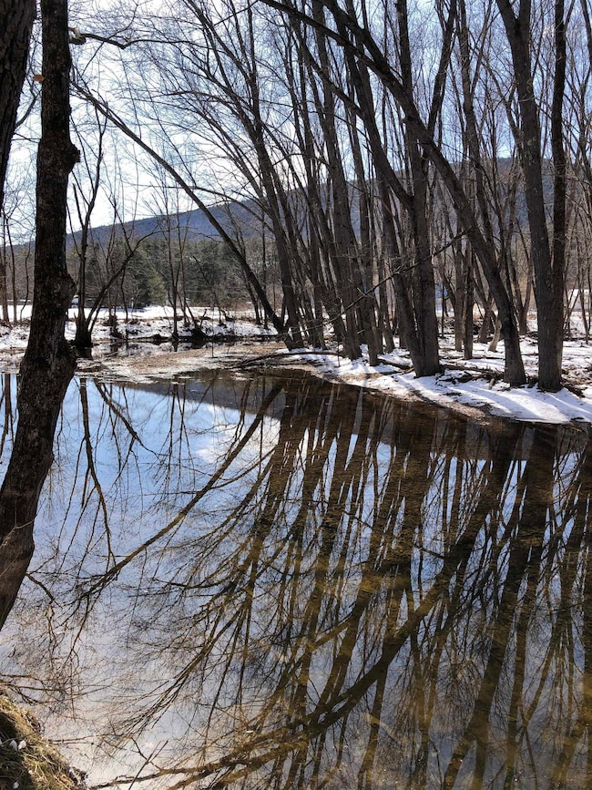 755 Whittier Rd, Tamworth, NH 03886 - photo 5