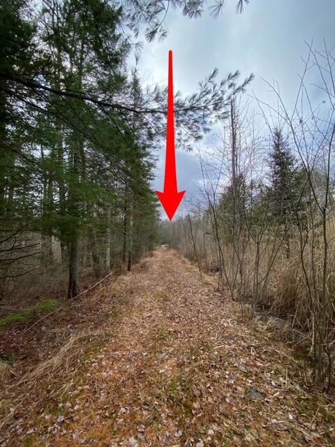 Driveway arrow site