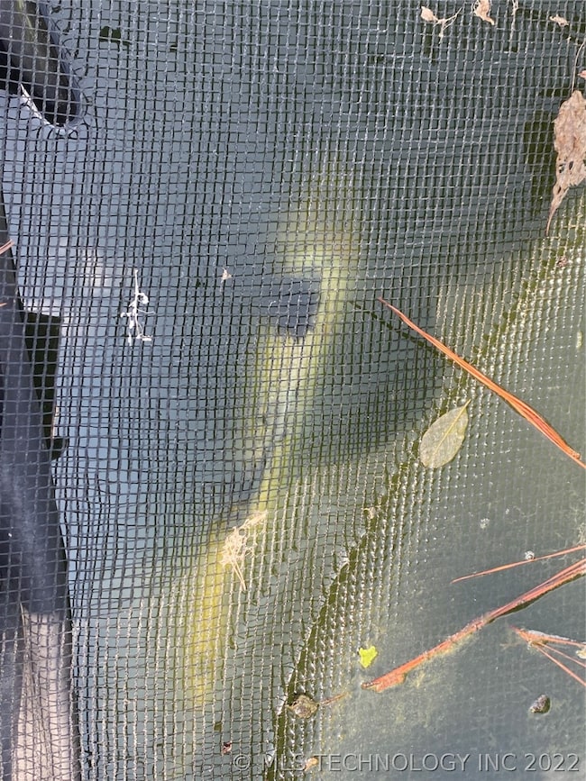 2352 London Ln, Bartlesville, OK 74006 - photo 6