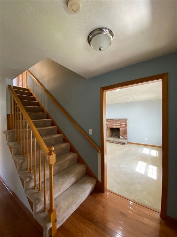 31 Helen St, Waltham, MA 02452 - photo 6