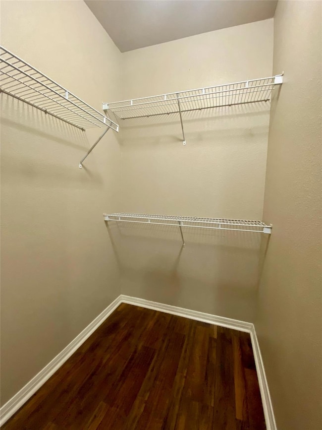 Spacious closet featuring dark wood-style flooring