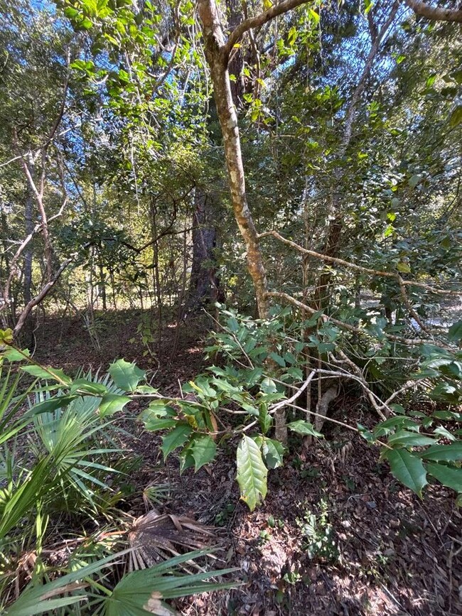 Lot 3 SE 843rd St, Old Town, FL 32680 - photo 6