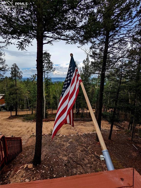 40 Flathead Ln, Woodland Park, CO 80863 - photo 2