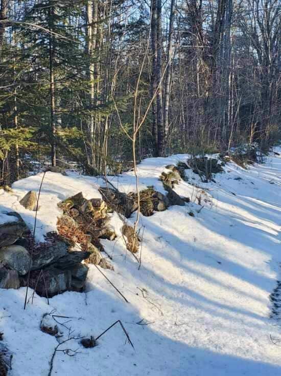 0 Ramsdell Ridge Rd unit 1611976, Milo, ME 04463 - photo 6