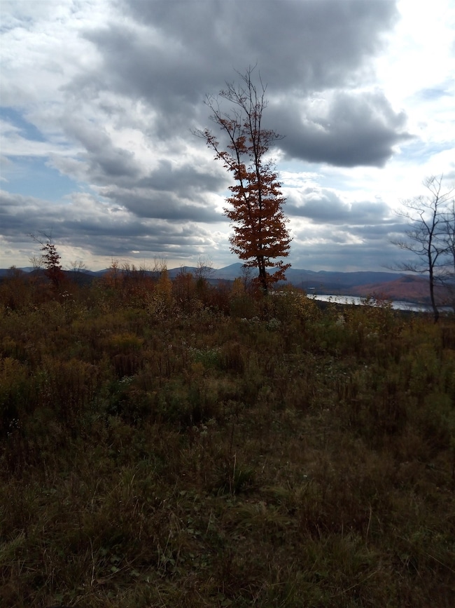 O Toad Pond Rd, Morgan, VT 05853 - photo 5